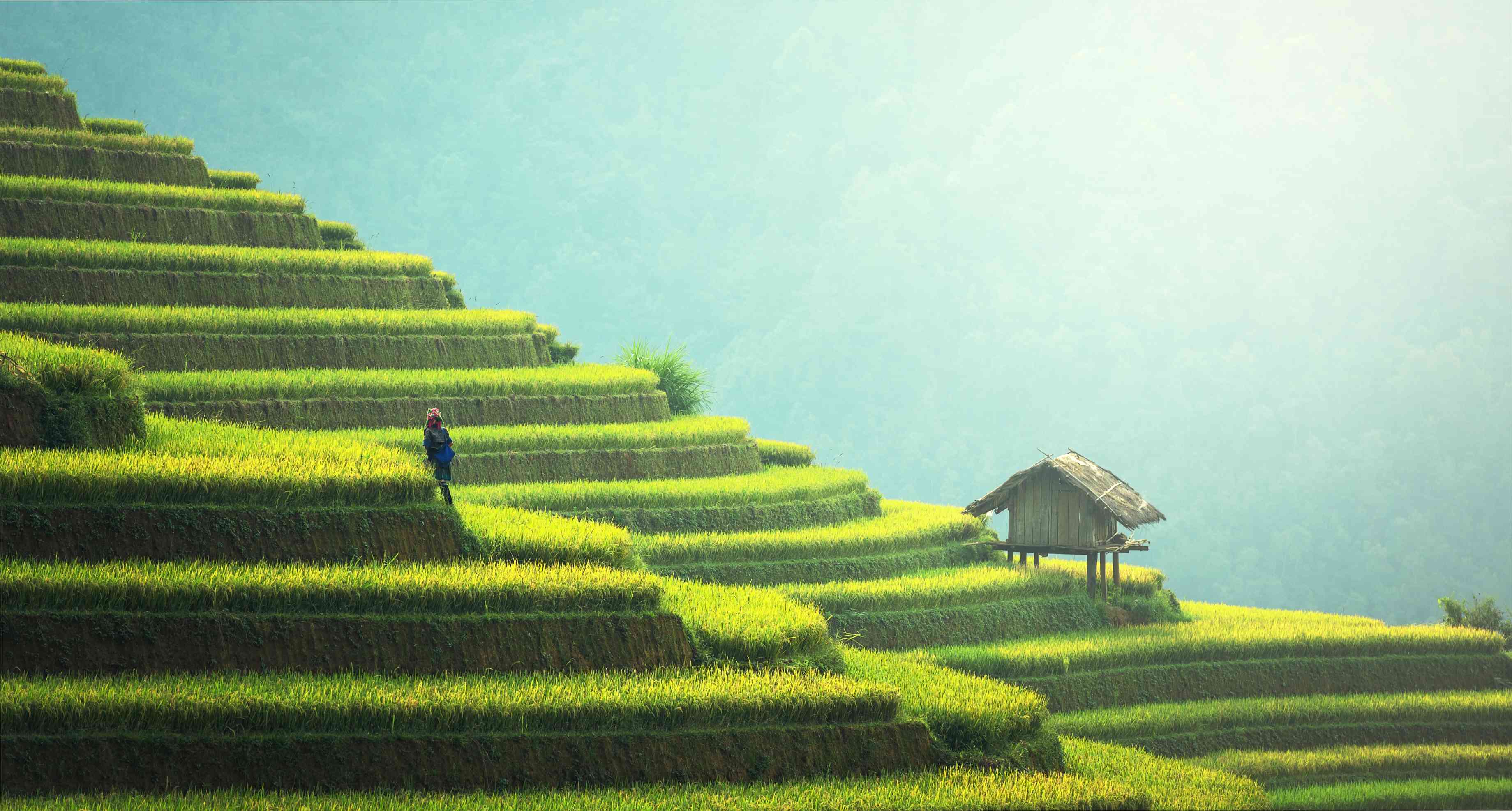 十八禁午夜福利免费网站高清免费